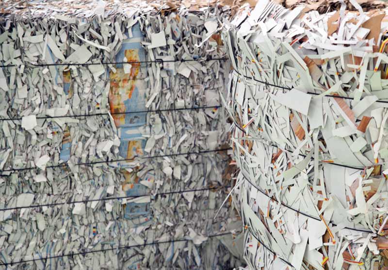 Ozone-Recycling-Paper-Recycling-01